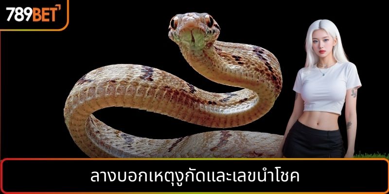 ลางบอกเหตุงูกัดและเลขนำโชค