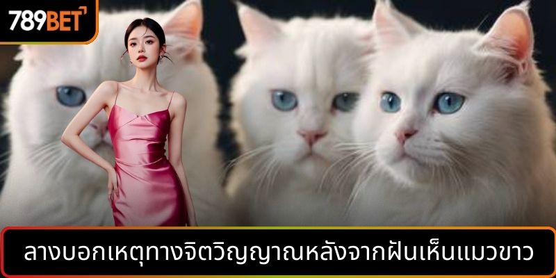 ลางบอกเหตุทางจิตวิญญาณหลังจากฝันเห็นแมวขาว
