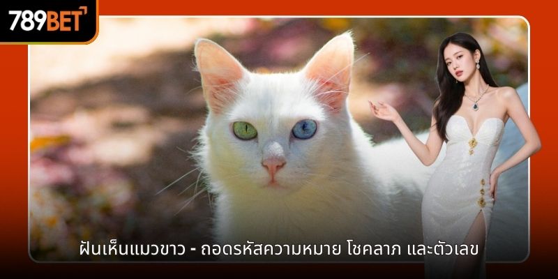 ฝันถึงแมวสีขาว 789BET