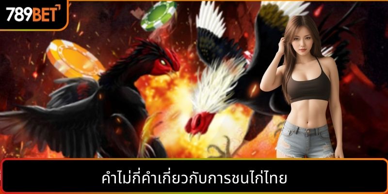 คำไม่กี่คำเกี่ยวกับการชนไก่ไทย