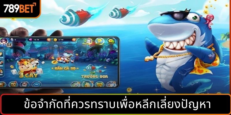 ข้อจำกัดที่ควรทราบเพื่อหลีกเลี่ยงปัญหา