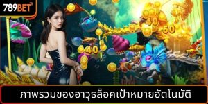 ภาพรวมของอาวุธล็อคเป้าหมายอัตโนมัติ